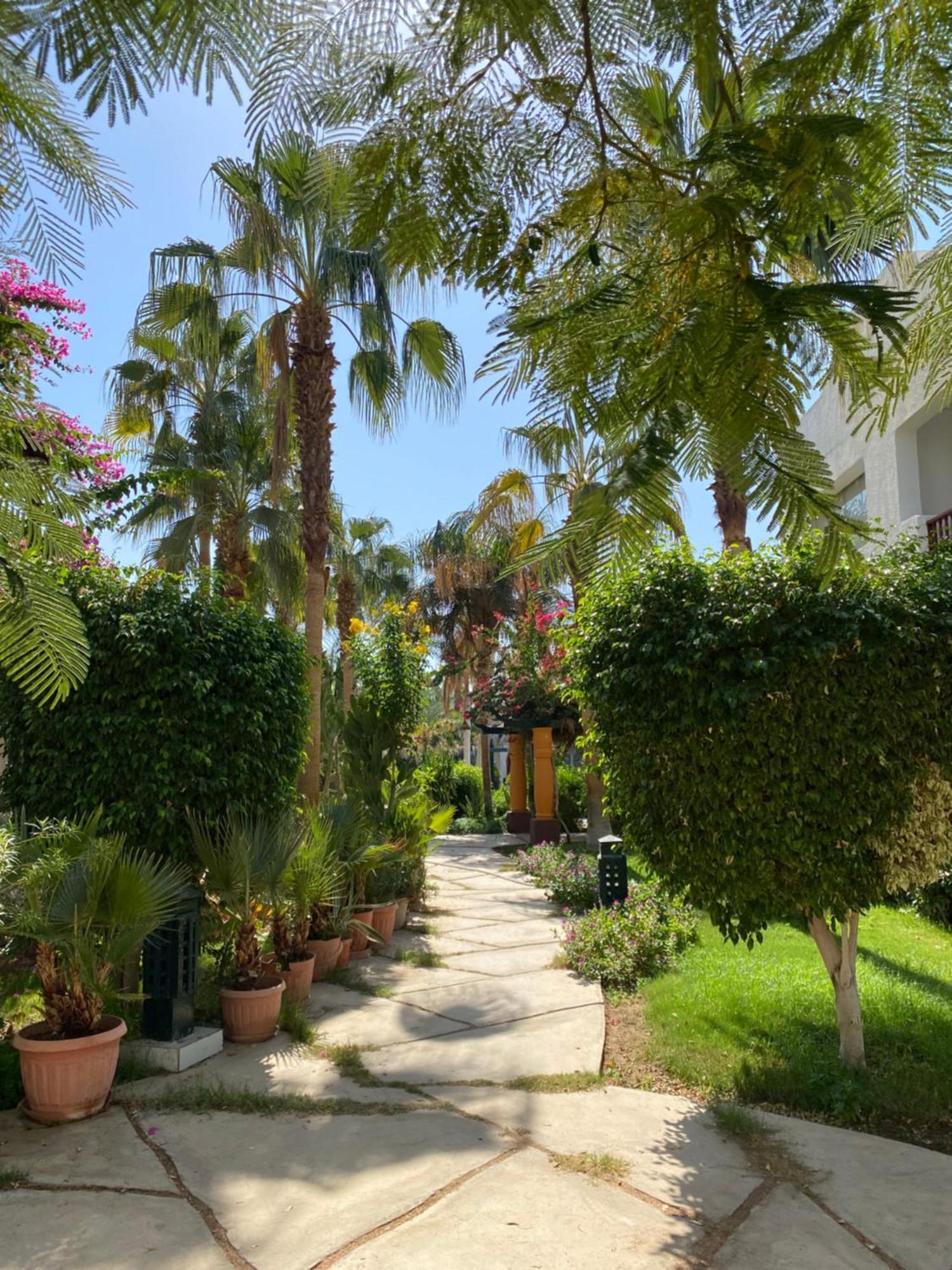 Appartement Delta Sharm Extérieur photo