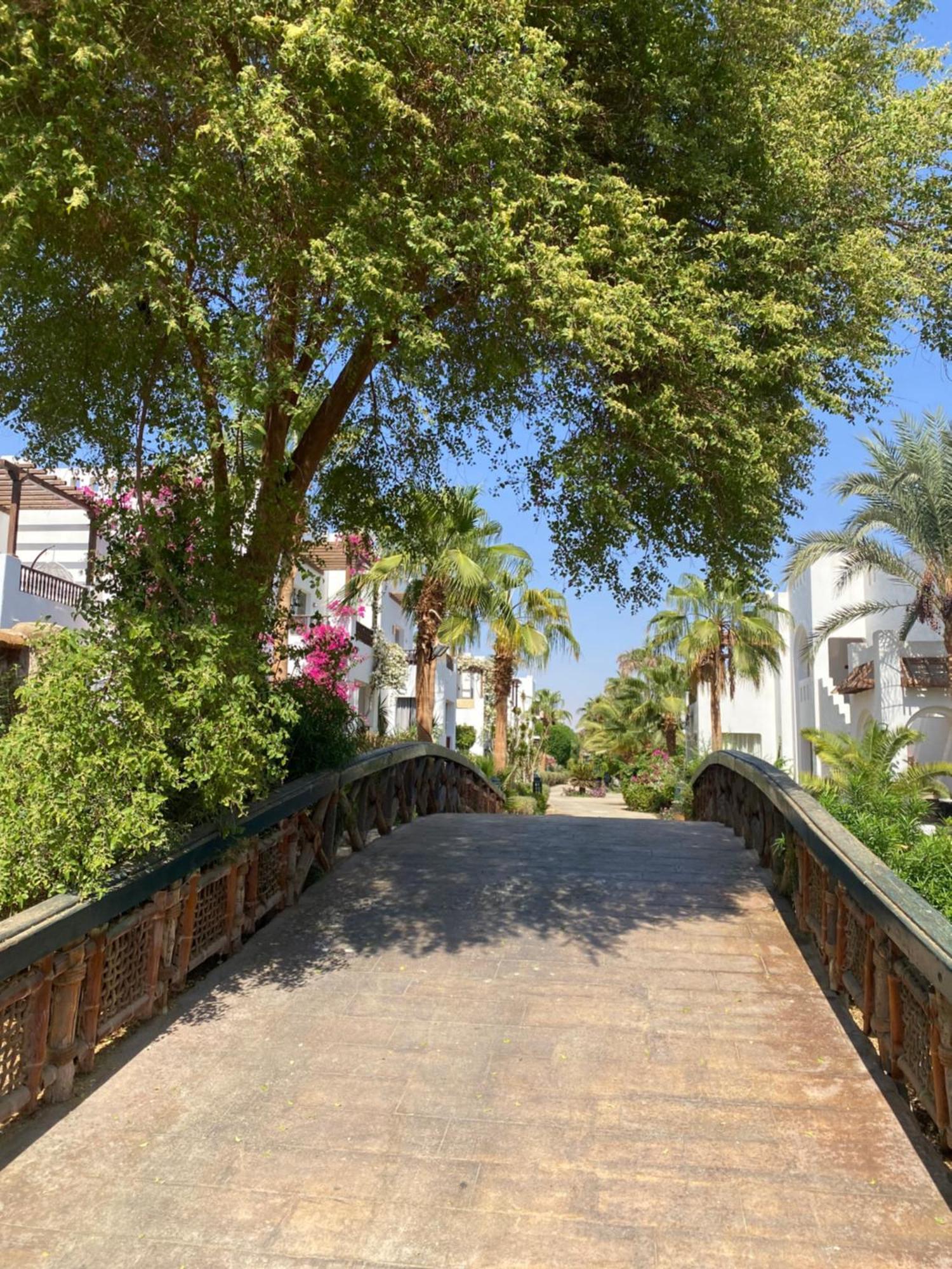 Appartement Delta Sharm Extérieur photo